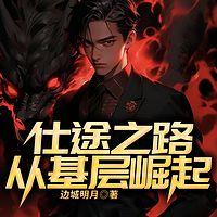仕途之路：从基层崛起有声小说