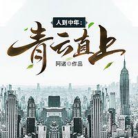 人到中年:青云直上有声小说