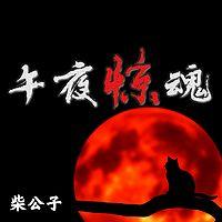 午夜惊魂 有声小说