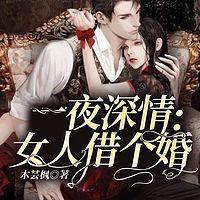 一夜深情：女人借个婚有声小说