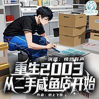 重生2003，从二手咸鱼店开始有声小说