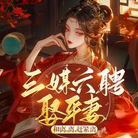 三媒六聘娶平妻？和离，赶紧离有声小说