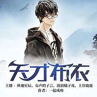 天才布衣有声小说