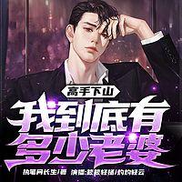 高手下山：我到底有多少老婆有声小说