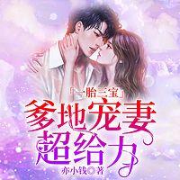 一胎三宝，爹地宠妻超给力有声小说