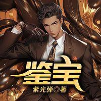 鉴宝有声小说