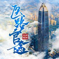 医路官途有声小说