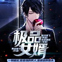 极品女婿有声小说