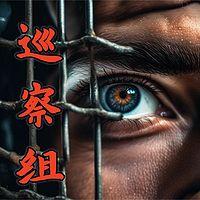 巡察组有声小说