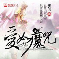 爱如魔咒有声小说