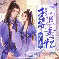 妃你不娶:王爷追妻忙有声小说