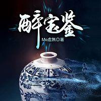 醉宝鉴有声小说
