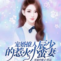 宠婚撩人:辰少的惹火小蛮妻