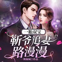 一胎双宝:靳爷追妻路漫漫有声小说