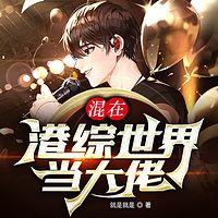 混在港综世界当大佬有声小说